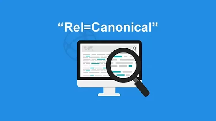 coninical url