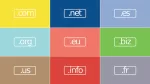 domain uzantılarının anlamları