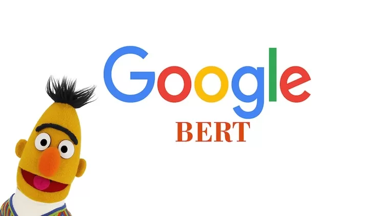 bert algoritaması