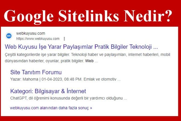 google sitelinks nedir