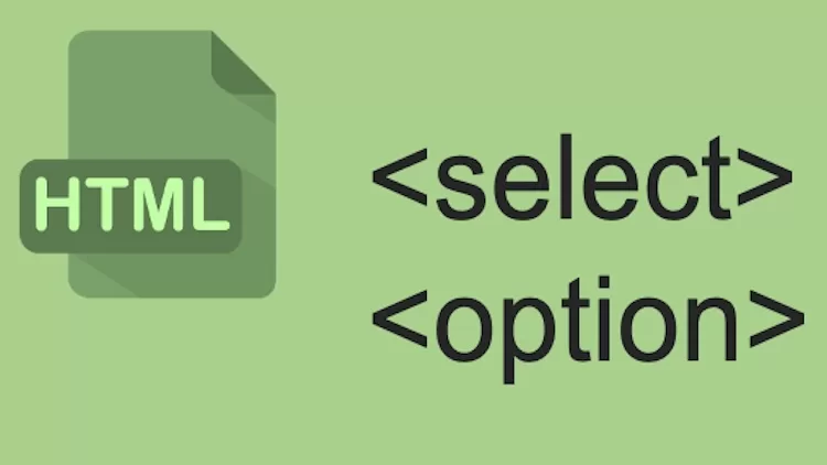 Select öğelerinin ilişkili label öğeleri yok