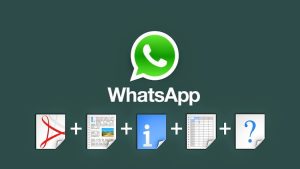 whatsapp dosya transferi