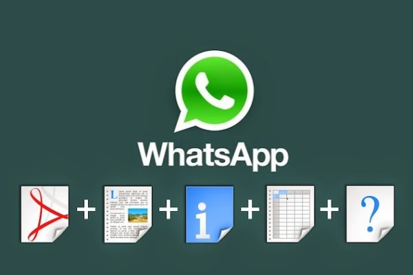 whatsapp dosya transferi