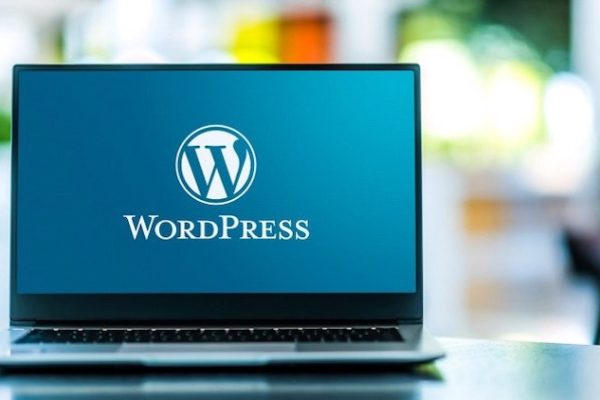 wordpress gizleme