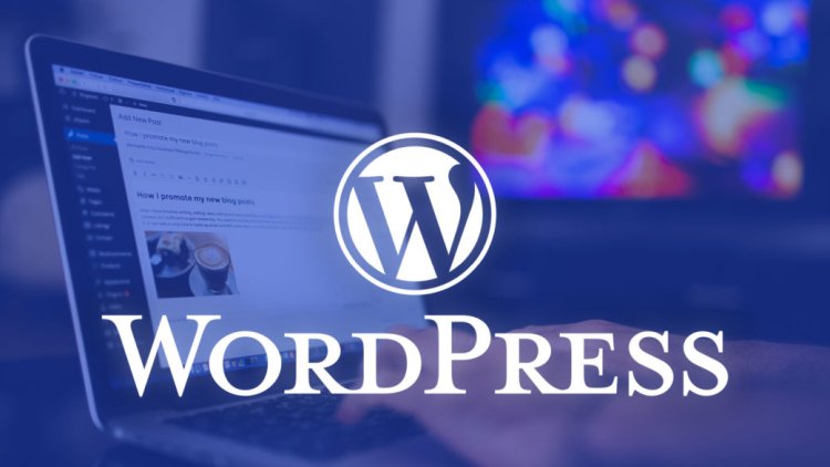 wordpress ana sayfadan yazı gizleme