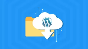 wordpress yedekleme eklentisi