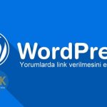 wordpress yorumlarda web sitesi kaldırma