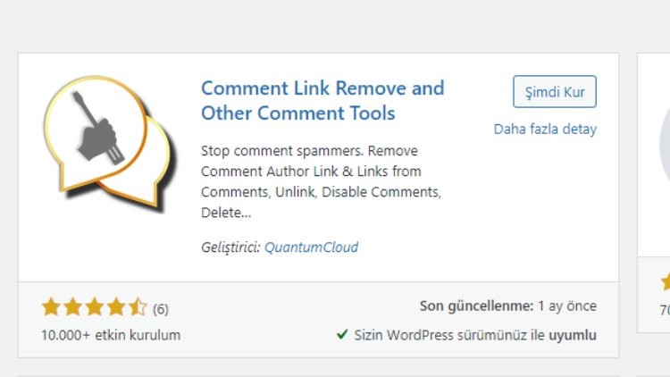 wordpress yorum link engelleme